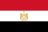 BODY.WARIORS flag